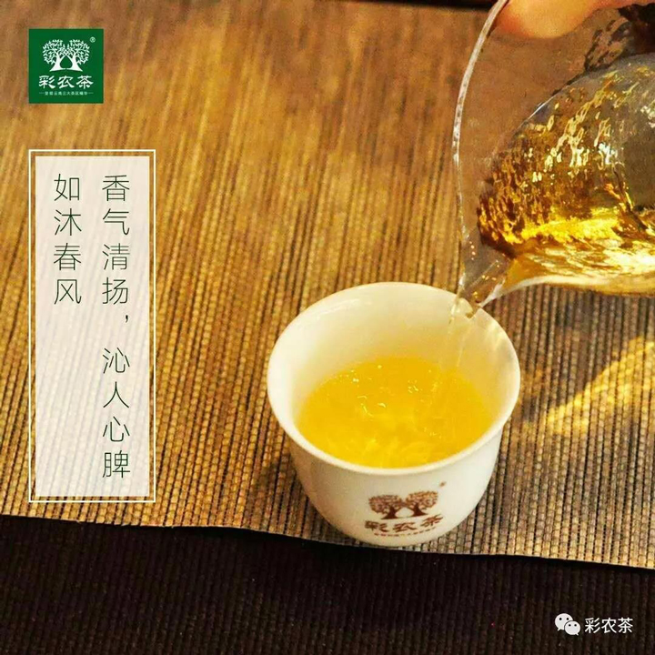彩农茶勐海小饼茶汤