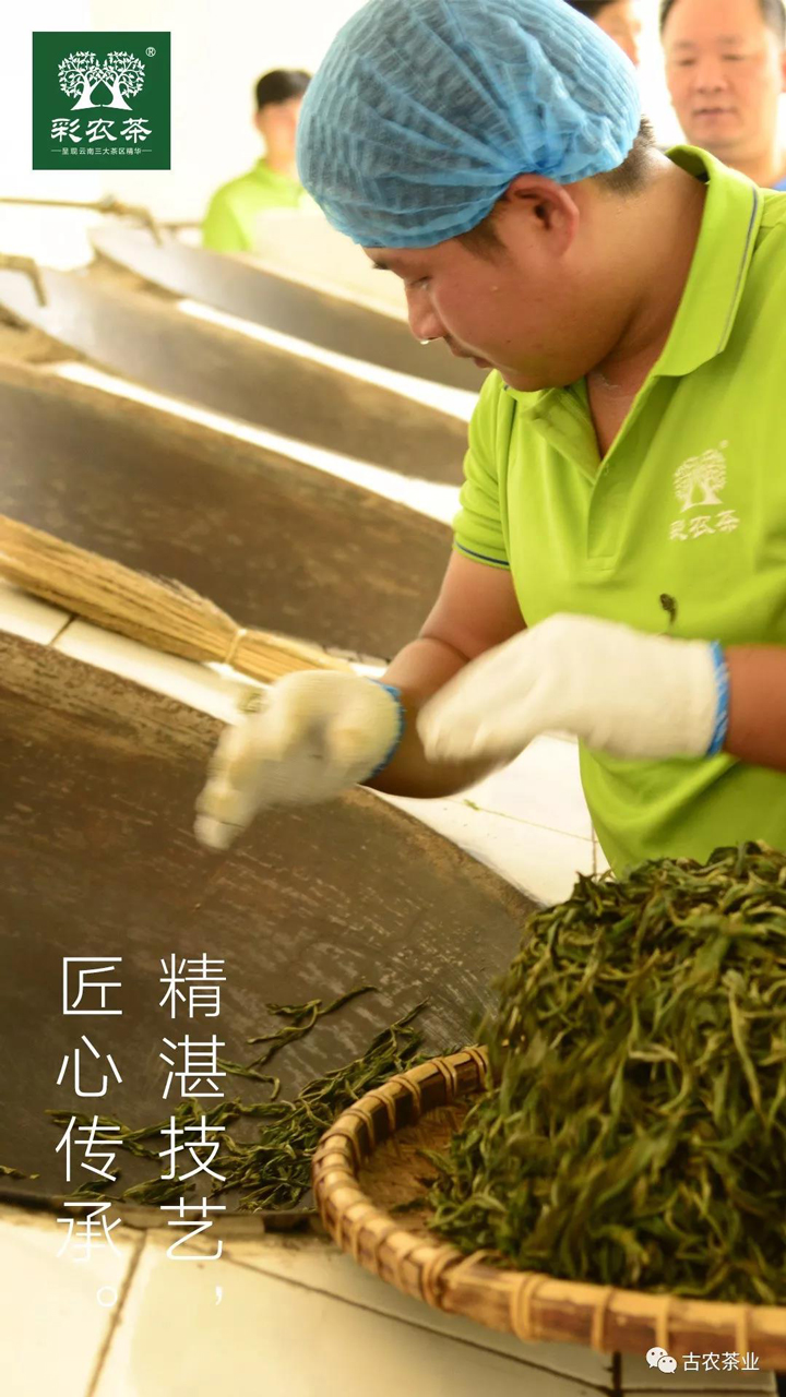 彩农茶茶叶初制所