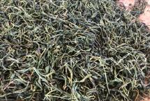 2019普洱茶市场大变局：古树茶进入醇料时代