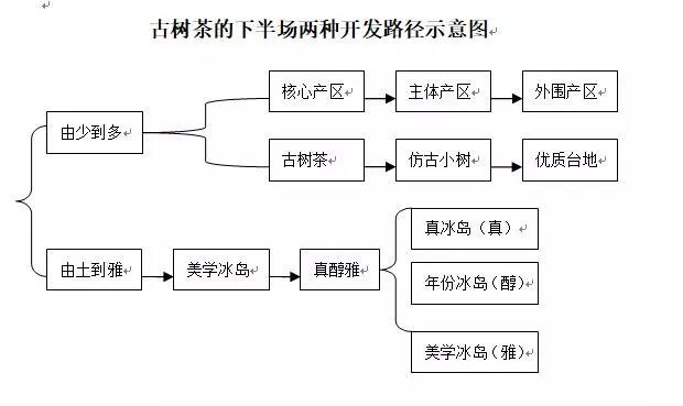 古树茶的下半场两种开发路径示意图