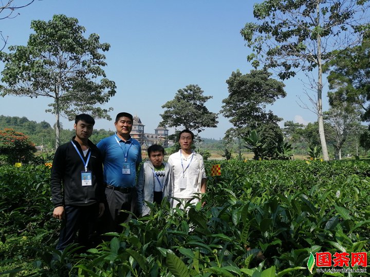 国茶网先锋团队与勐海县县委宣传部副部长、县政府新闻办主任胡红卫先生合影