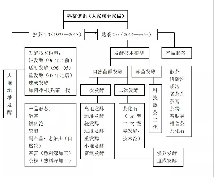 熟茶谱系