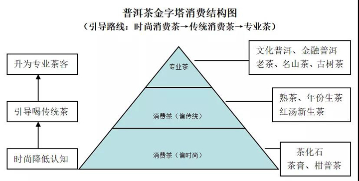 普洱茶金字塔消费结构图