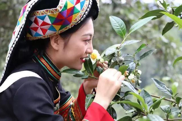 美女与茶花亲吻