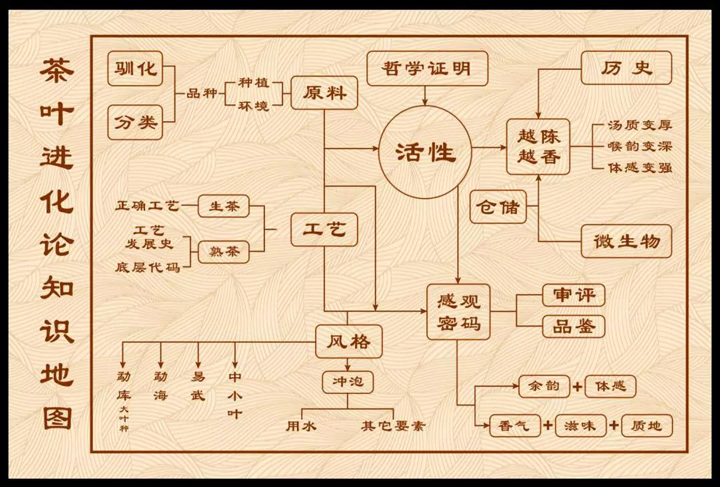 茶叶进化论知识地图