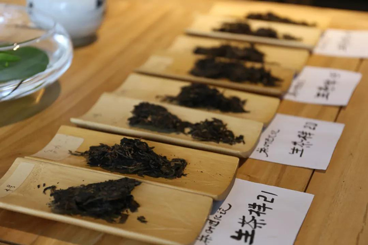 普洱茶品鉴茶样