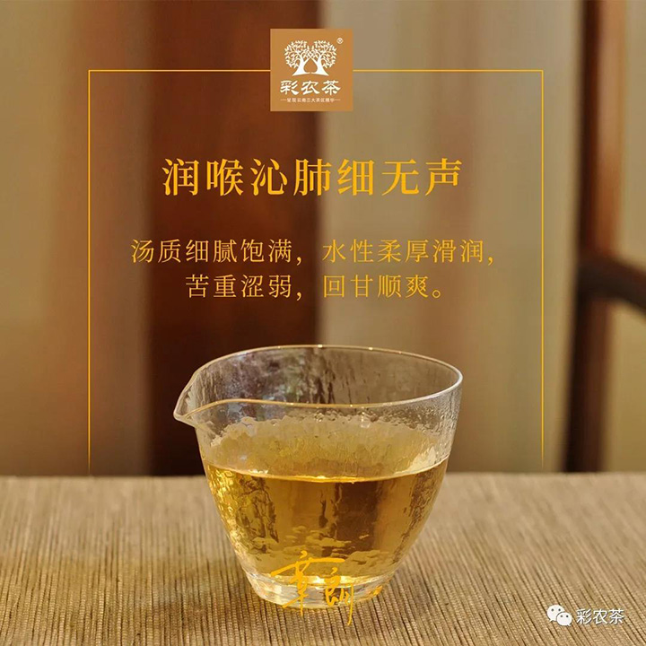 彩农茶章朗普洱茶茶汤