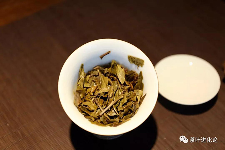 普洱茶底