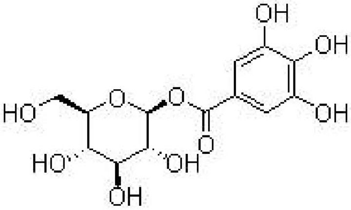 糖苷类物质结构示意图