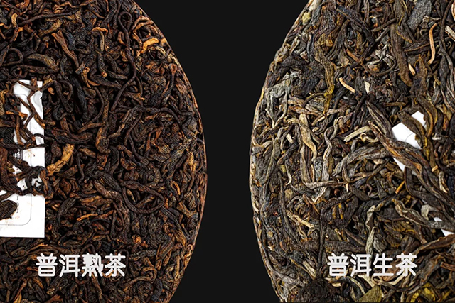 普洱茶生熟茶茶饼外观对比