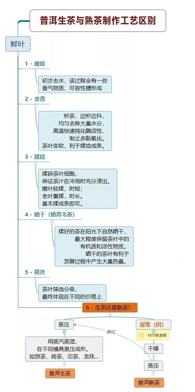 普洱茶生熟茶制作工艺区别