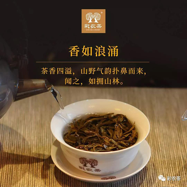 老班章普洱茶冲泡