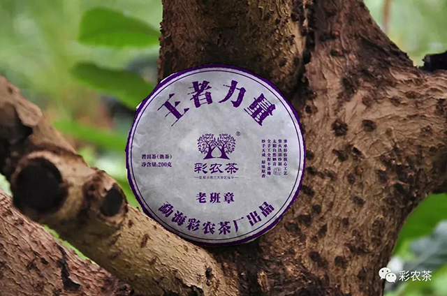 彩农老班章古树熟茶