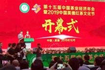 2019中国十大生态产茶县名单出炉