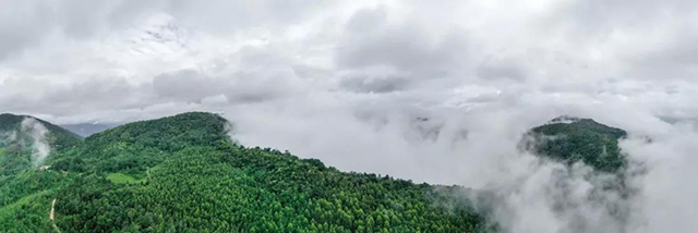 雨季的雾露山