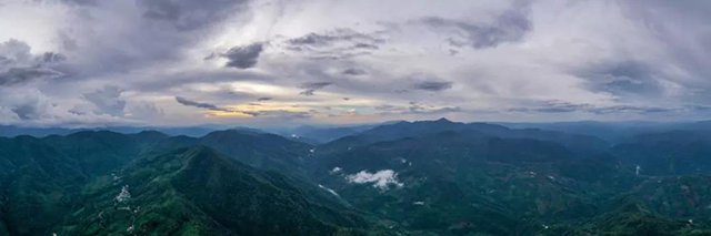 雾露山山景