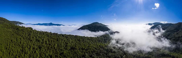 雾露山冬景