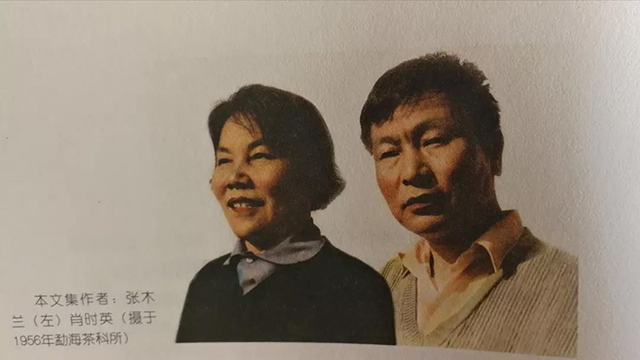 肖时英先生与张木兰女士，翻拍自《我们亲历的云南茶》