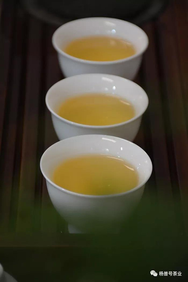 普洱茶茶汤