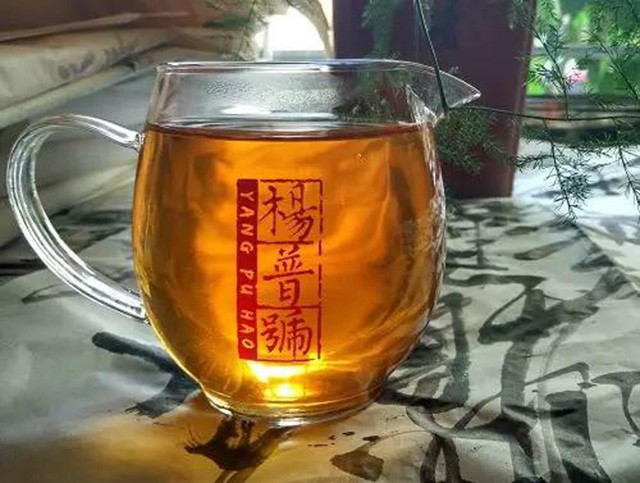 杨普号无碍易武系列纯料茶普洱茶茶汤