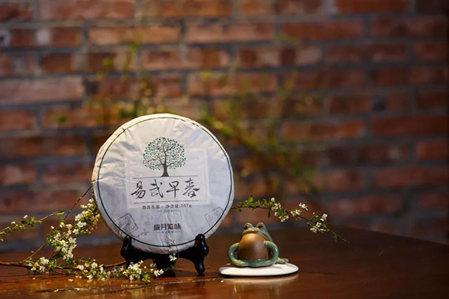 岁月知味易武早春普洱茶