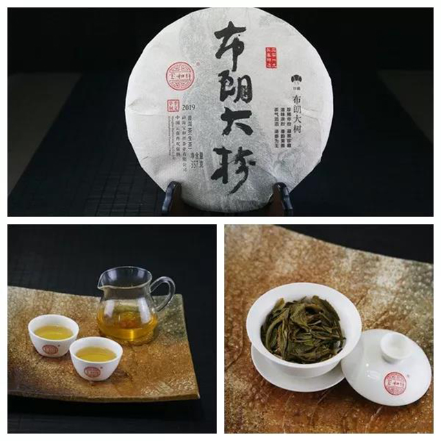 茶友品评宝和祥茶业布朗大树·珍藏青饼