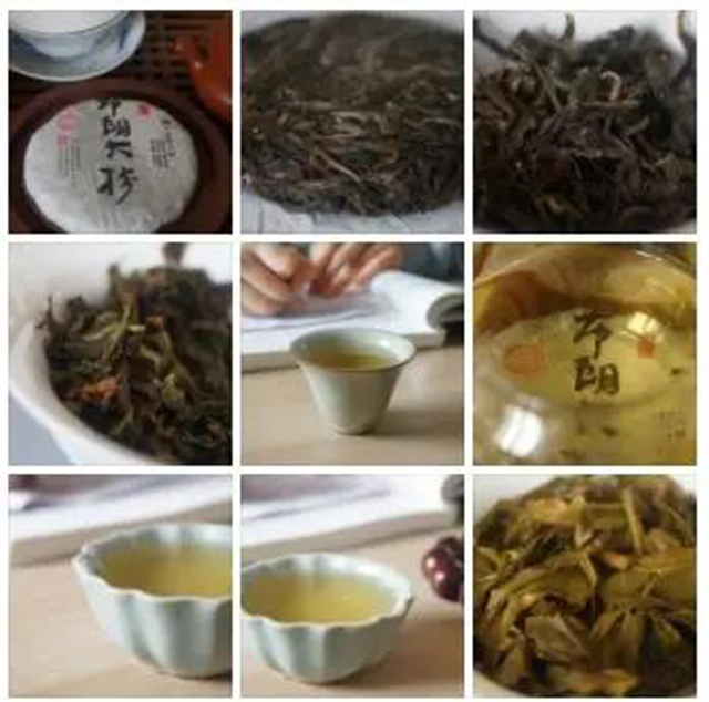 茶友品评宝和祥茶业布朗大树·珍藏青饼