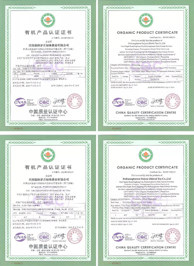 易武基地有机认证证书