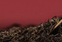 津品茶话：云南红茶的优势与魅力