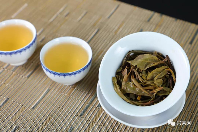 普洱茶茶汤