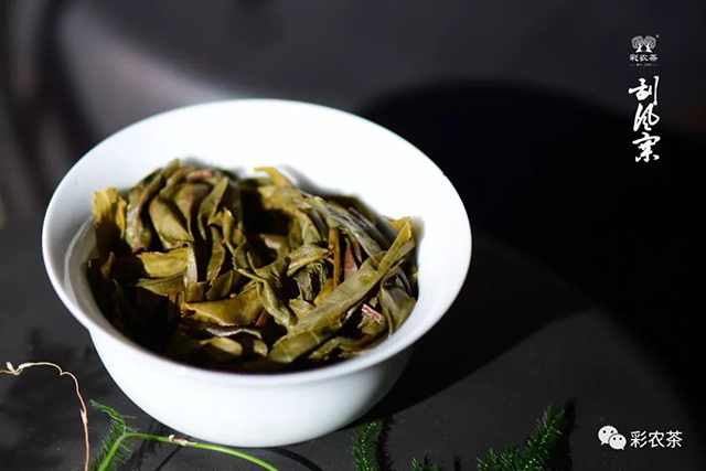 彩农茶刮风寨老帕卡茶砖叶底