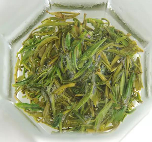 润湿钱江源野茶