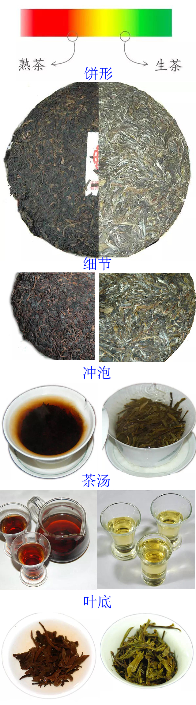 普洱茶生茶与熟茶的区别