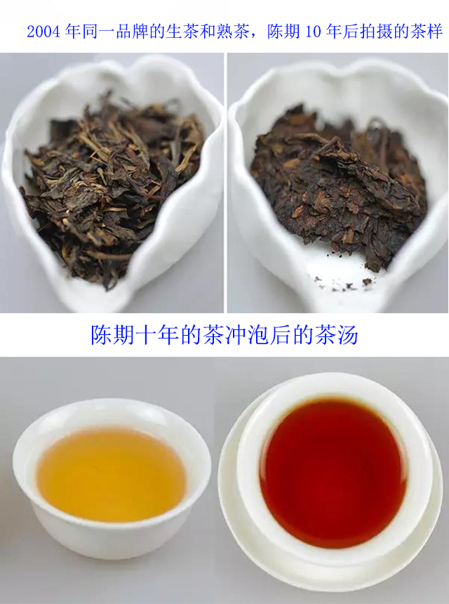 普洱茶生茶与熟茶的区别