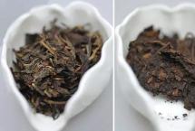 普洱茶生茶和普洱茶熟茶区别与实物对比「一如茶香专栏」