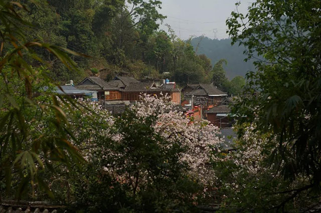 花丛里的那柯里小镇