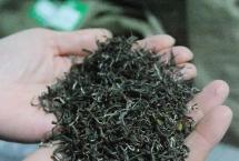 选好茶的4个步骤，2个诀窍「一如茶香专栏」