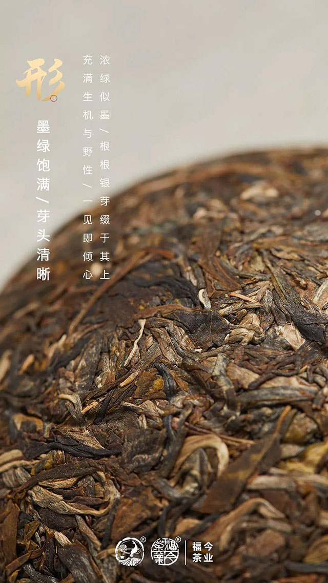 2019年福今茶业土鸡沱普洱茶生茶条索