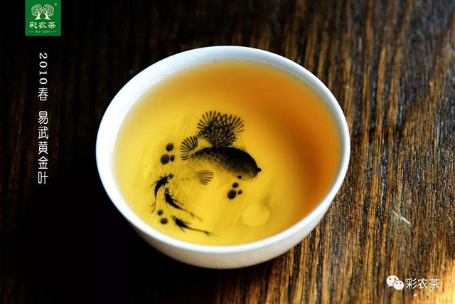 彩农茶2010春易武黄金叶普洱生茶茶汤