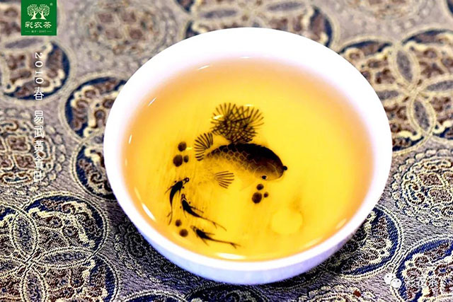 彩农茶2010春易武黄金叶普洱生茶茶汤