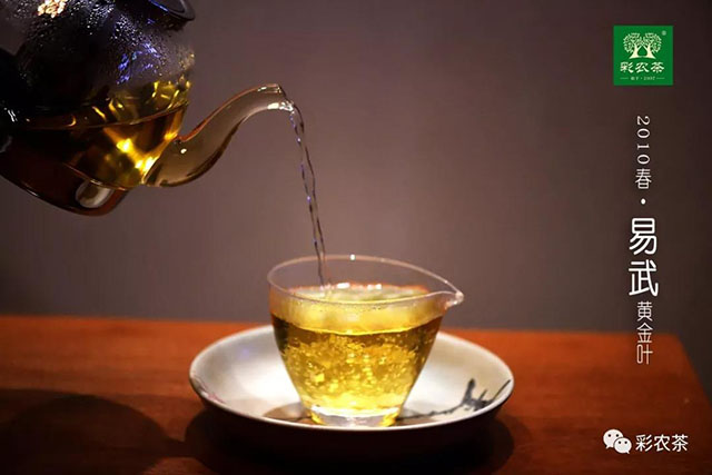 彩农煮茶法易武黄金叶普洱茶