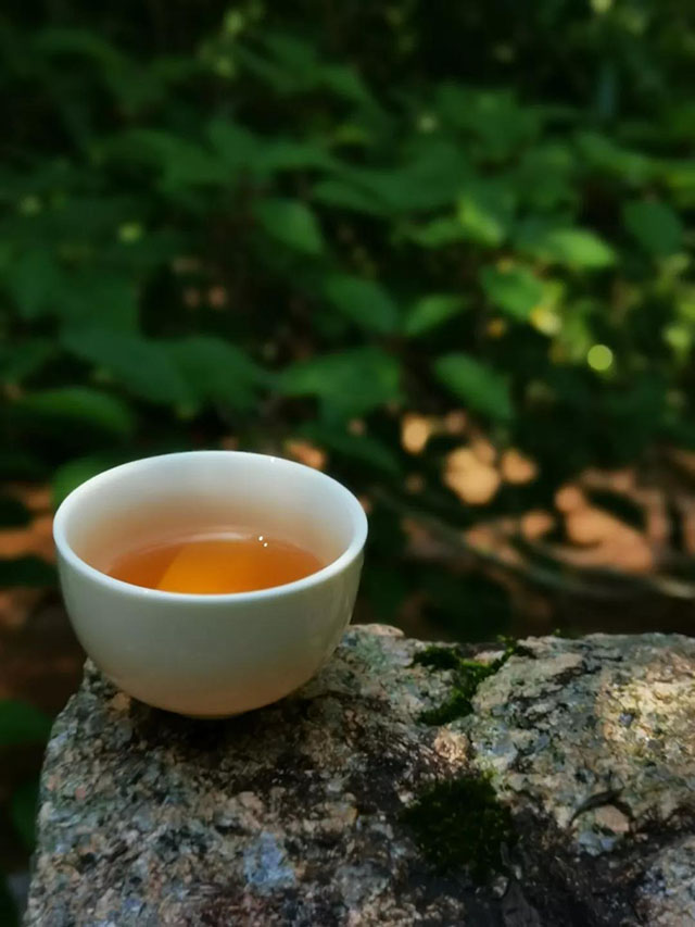 茶汤