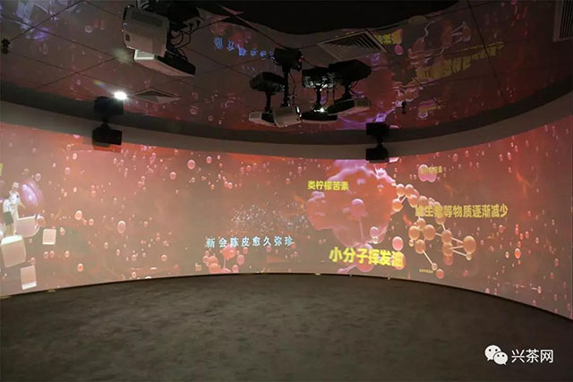 新会陈皮文化博物馆270度环幕放映区