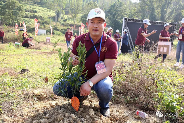 嘉宾们在石涧田园生态小镇记录属于自己的柑树