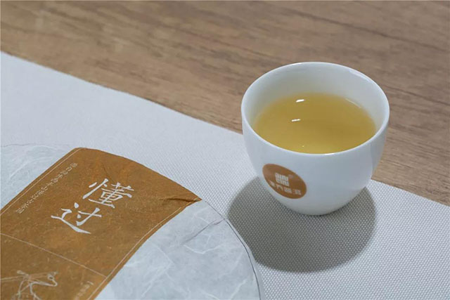 津乔懂过普洱茶生茶