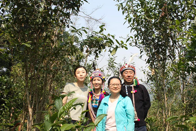 茶山秘境旧龙新寨