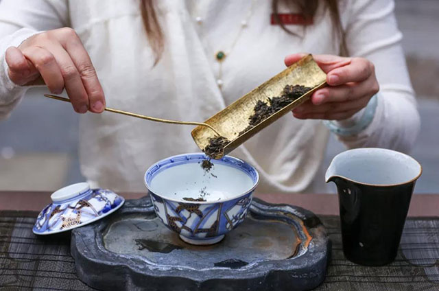 大益八式赏茶投茶