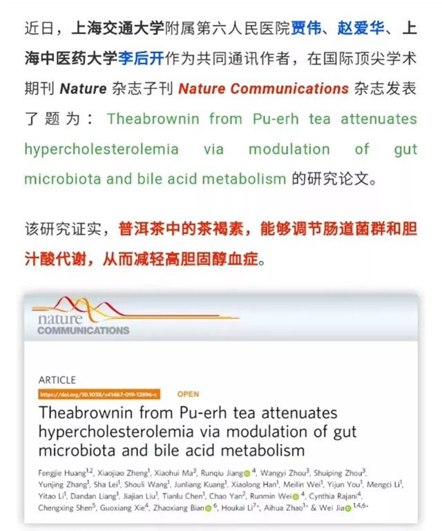 上海交大最新研究