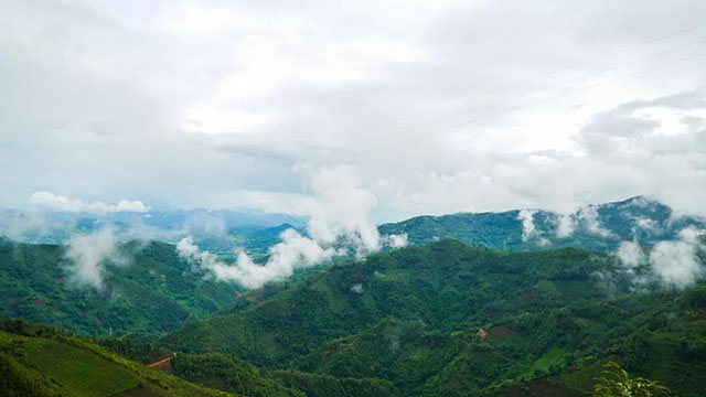 例如临沧勐库产区，茶园大多1600至2200米，昼夜温差大，年均温度低于15℃，呈高山立体气候，自然条件非常优异。