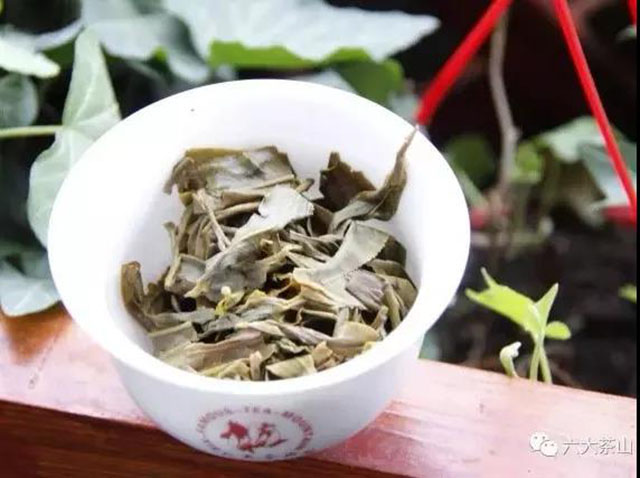 六大茶山古藏普洱茶生茶